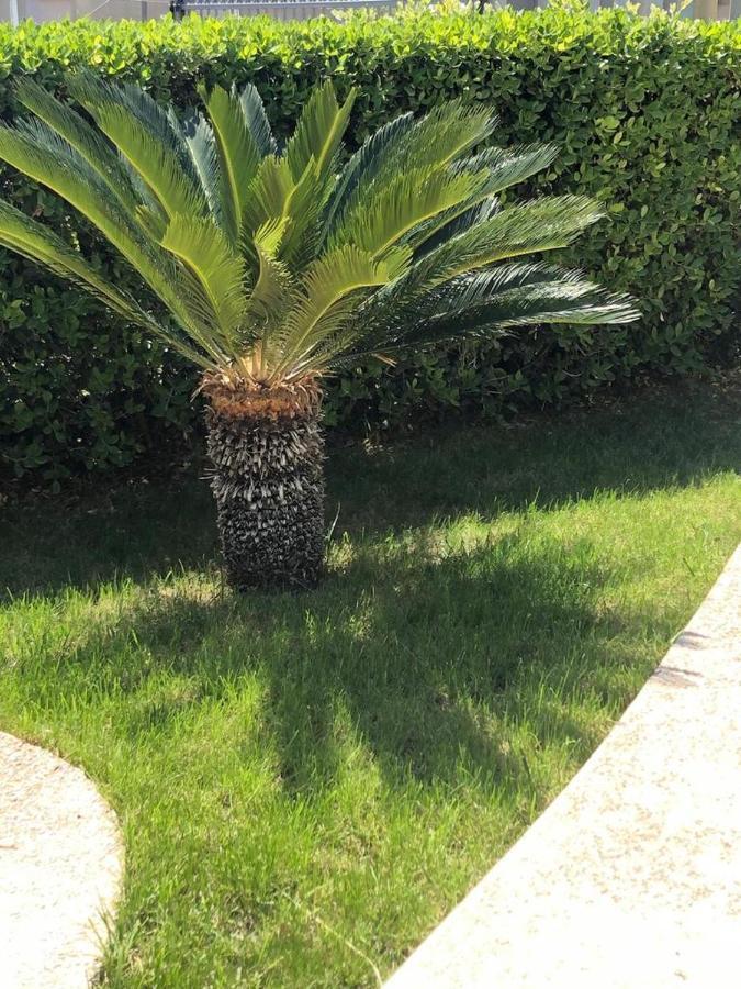 Appartamento L'Ulivo Brancaleone Marina Esterno foto